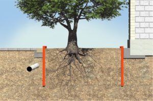 ROOT BARRIER GRAPHIC_1